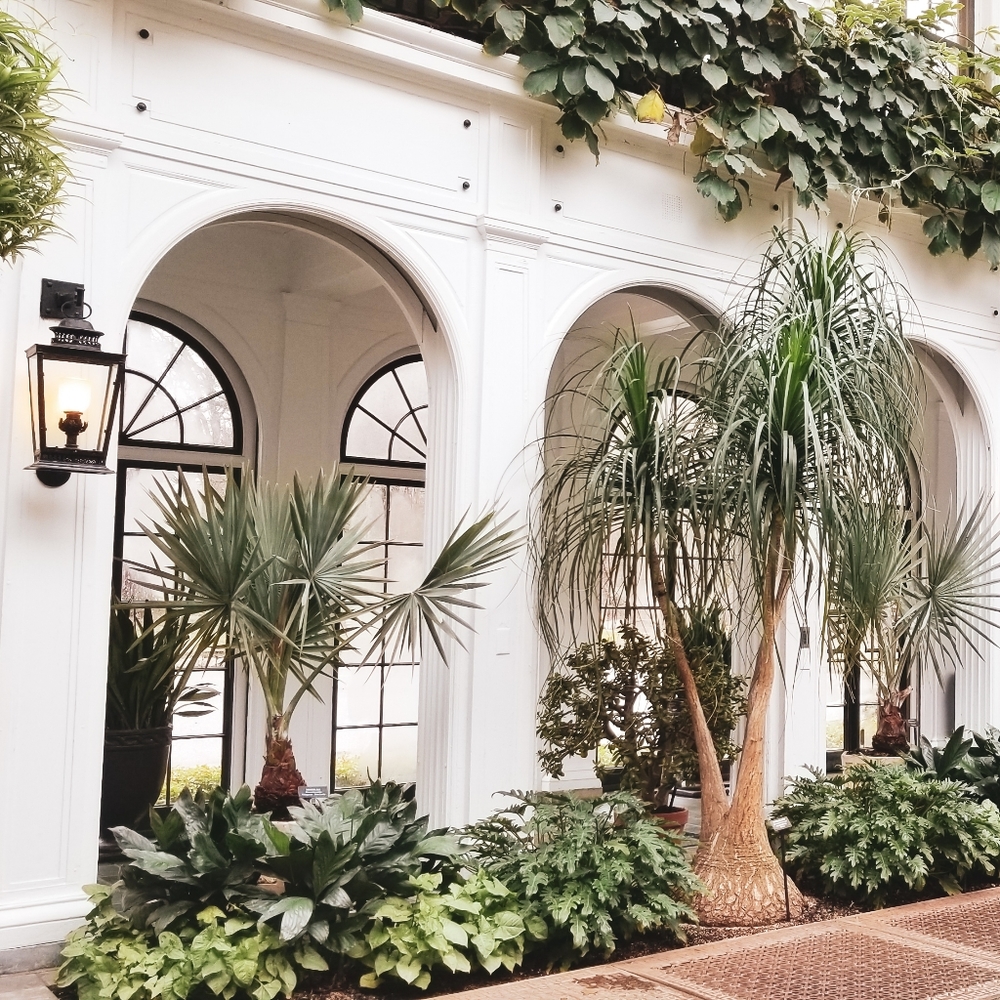 Meet your Posher, Tamar